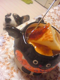�ނ肭��