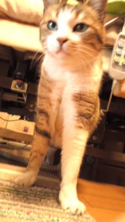 ���̃x�b�h���ɂɂ�[�ɂ�[����