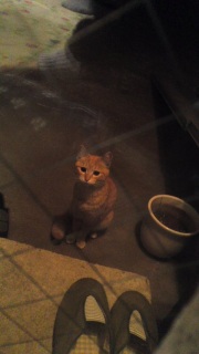 ����ā`