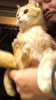 ��������ɕߊl�����