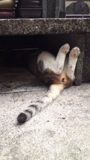 ����A