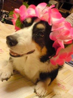 �N�����Ȃ�TL�Ɍ����