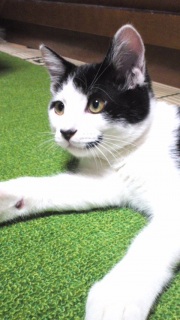 2�`