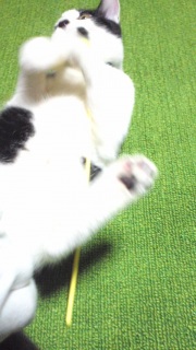 6�`
