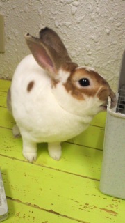 �������e��11
