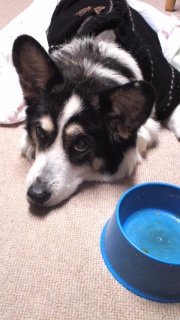 �����Ƃ�������