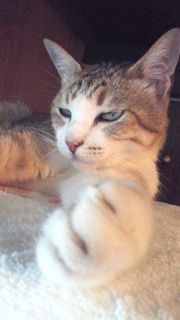 ���炟
