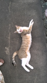 ����[��