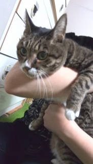 �L�e��14�����