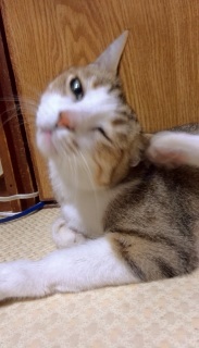 �݂݂���