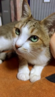 �Ȃ��肨����c