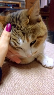�悵�悵���肮��