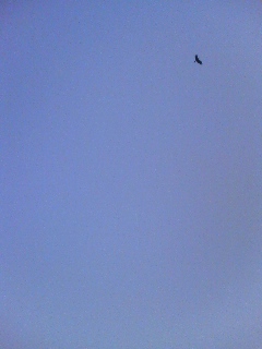 �߂�����